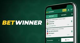 Discover the Excitement of BetWinner Casino