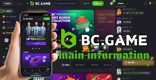 Discover the Thrill of BC.Game Online Platform
