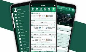 Explore BetWinner The Premier Betting Platform in Italy